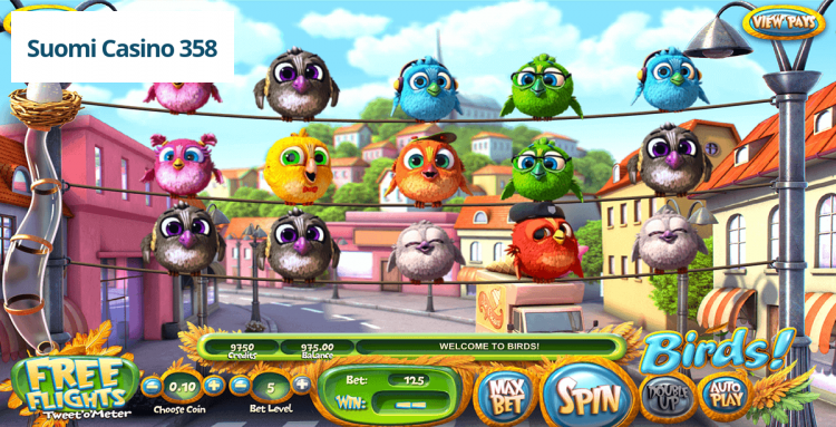 Birds!