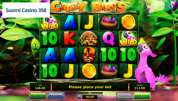 Crazy Birds