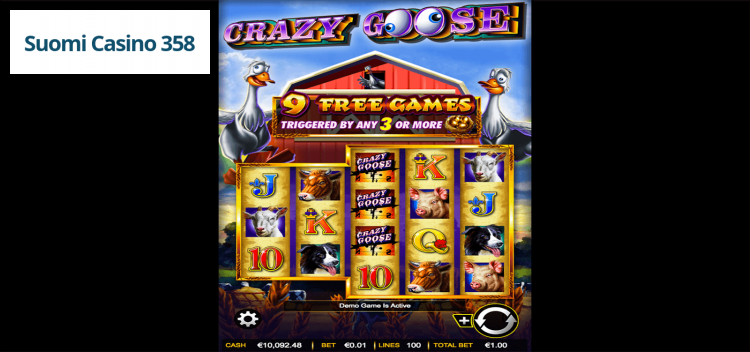 Crazy Goose