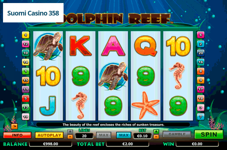 Dolphin Reef
