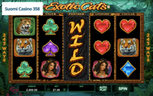 Exotic Cats