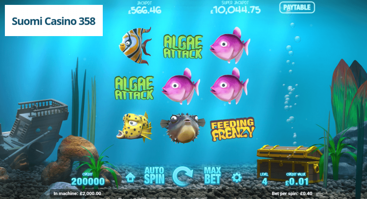 Fish Tank