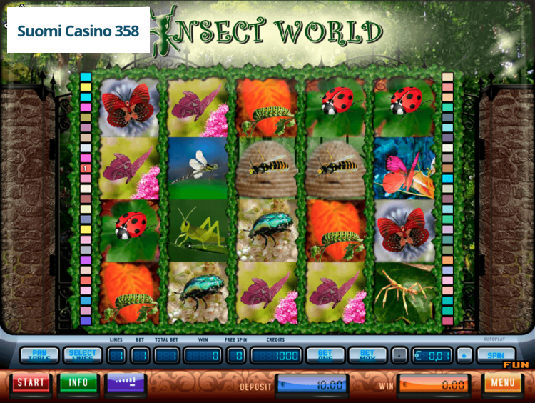Insect World