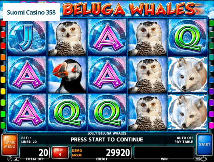 Jolly Beluga Whales
