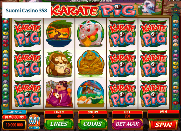 Karate Pig