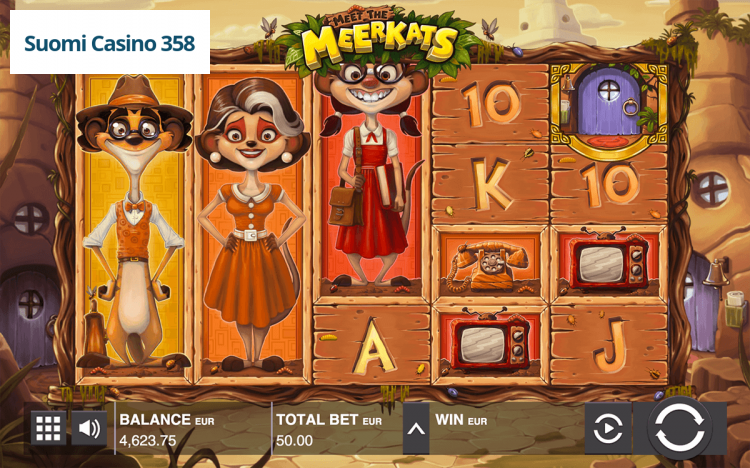 Meet the Meerkats