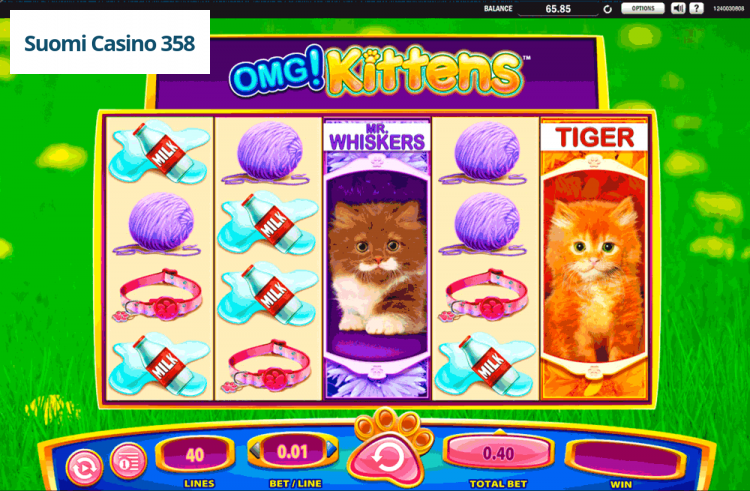 OMG! Kittens