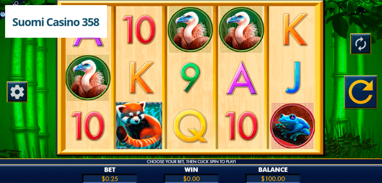 Red Panda Paradise