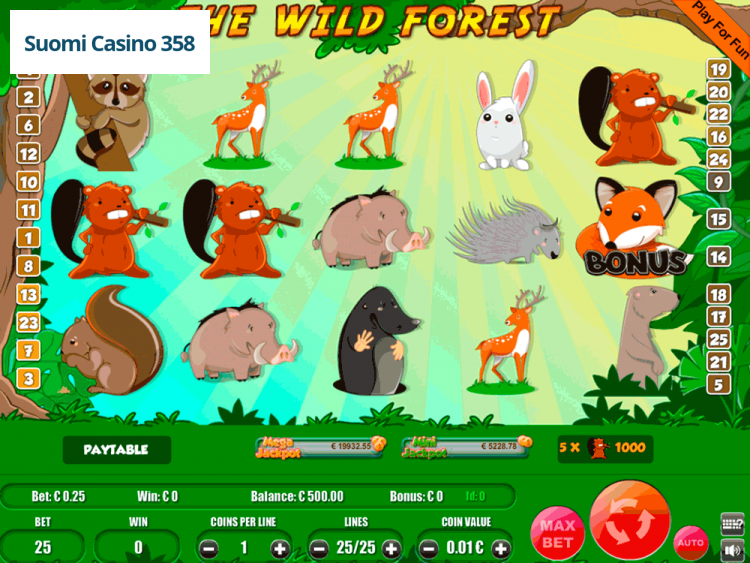 The Wild Forest
