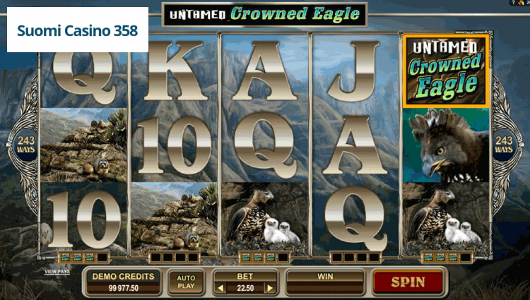 Untamed Crowned Eagle