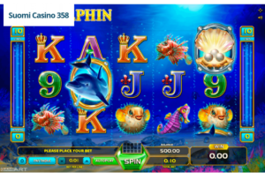Wild Dolphin