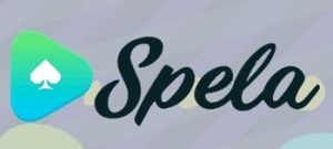 spela casino